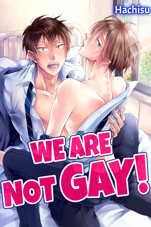 WE ARE NOT GAY!